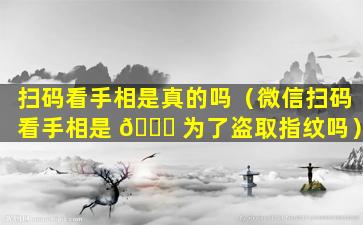 扫码看手相是真的吗（微信扫码看手相是 🍀 为了盗取指纹吗）